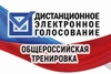 Принимайте участие в тестировании системы дистанционного электронного голосования (ДЭГ)!