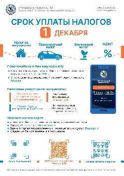 Срок уплаты налогов 1 декабря