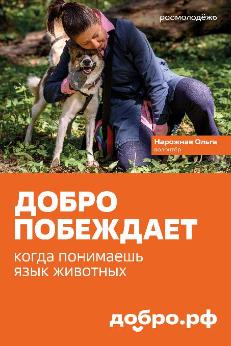 Добро побеждает: Международный форум гражданского участия #МЫВМЕСТЕ стартует 2 декабря