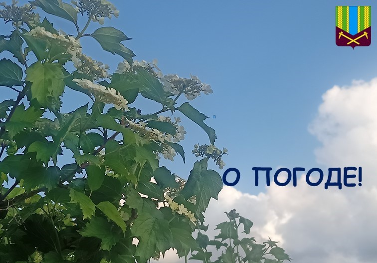 Предупреждение об опасных и неблагоприятных метеорологических явлениях погоды