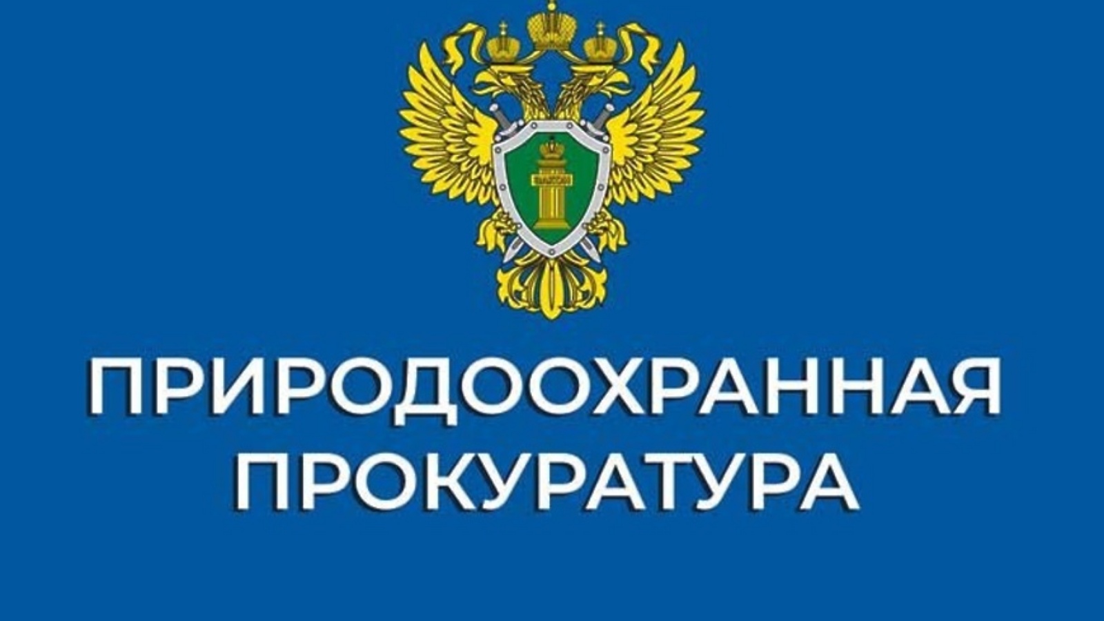 В Иркутской области в результате прокурорского вмешательства на орган лесного хозяйства возложена обязанность провести лесопатологические обследования в лесах