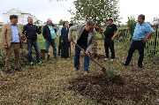 IMG_1516.JPG