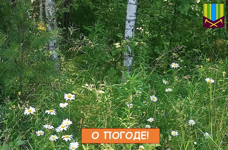 Предупреждение об опасных и неблагоприятных метеорологических явлениях погоды