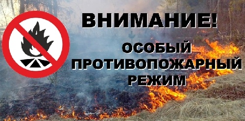 ПАМЯТКА о требованиях пожарной безопасности в лесах в условиях особого противопожарного режима в Иркутской области