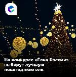 Всероссийский конкурс «Елки России» объявили в стране