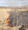 За сутки потушено два природных пожара