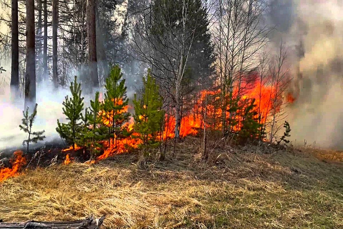 На территории Качугского района действует 4 лесных пожара