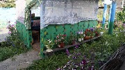 _DSC0262.JPG