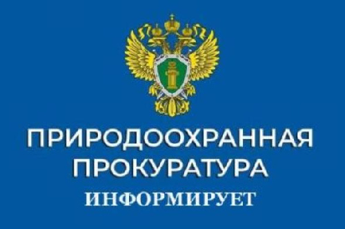 Усть-Илимская межрайонная природоохранная прокуратура провела проверку