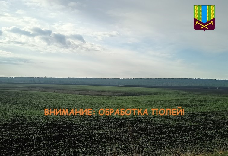 Внимание: обработка полей!