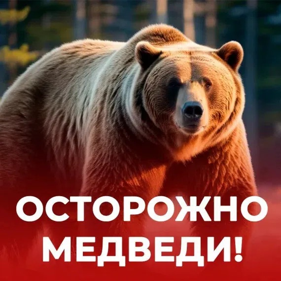  Внимание, жители и гости Качугского округа!