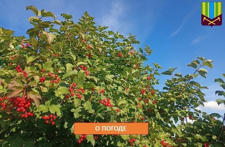 Предупреждение об опасных и неблагоприятных метеорологических явлениях погоды