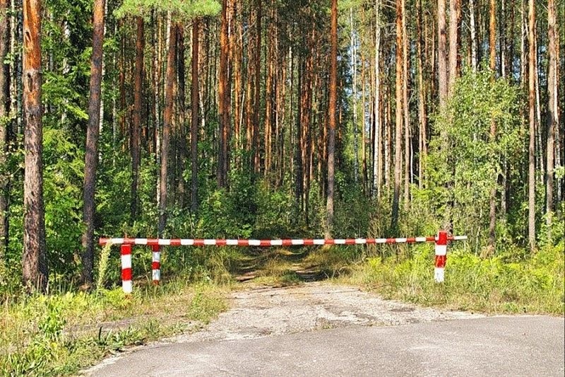 В Иркутской области вновь ввели ограничение на пребывание в лесу при высоких классах пожарной опасности  