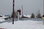 Козловский Дмитрий п. Седаново