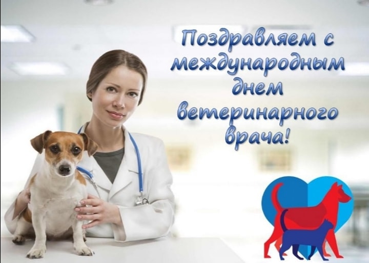 Уважаемые ветераны и работники ветеринарной службы Качугского района! От всей души поздравляем вас с профессиональным праздником!