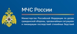 МЧС России запустило обновленную версию официального интернет-портала