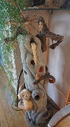 DSC07356.jpg