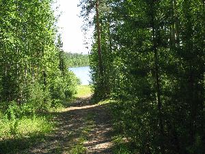 Вход в лес открыт