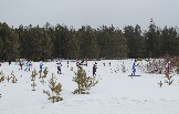 крутые виражи на трассе