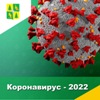 Коронавирус - 2022