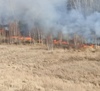 В районе выгорело 800 гектаров леса