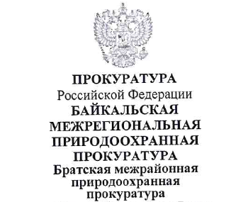Братской межрайонной природоохранной прокуратурой проведена проверка исполнения законодательства об охране лесов от пожаров.