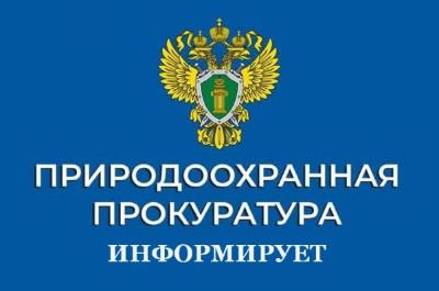 Усть-Илимская межрайонная природоохранная прокуратура подвела итоги деятельности