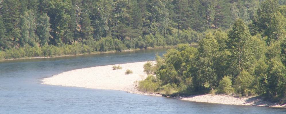 Вода в реке Белая в деревне Тюмень может оказаться опасной для здоровья человека