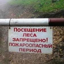 Постановлением мэра Усть-Илимского района для граждан закрыты все въезды в леса