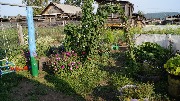 _DSC0264.JPG