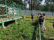 IMG-20210801-WA0013 (1).jpg