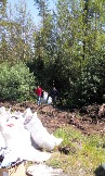 !IMG_20150619_122958.jpg