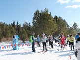 лыжные гонки