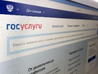 Получение социально значимых услуг в Иркутской области в электронном формате