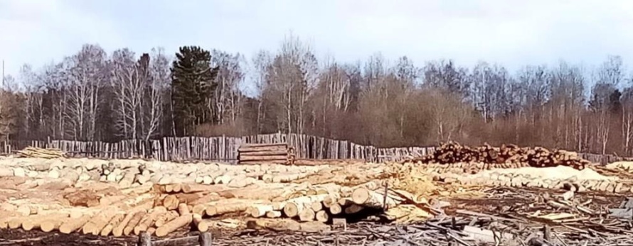 В Иркутской области полицейские перекрыли канал контрабанды древесины
