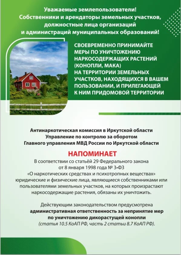 конопля.jpeg