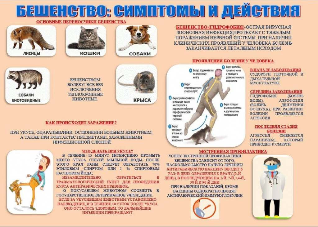 pamyatka.jpg pamyatka.jpg