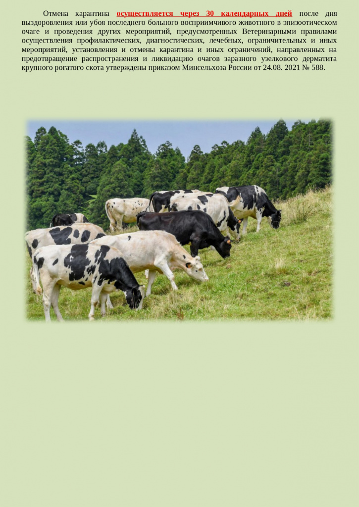 Узелковый дерматит ПАМЯТКА (5)_page-0005.jpg