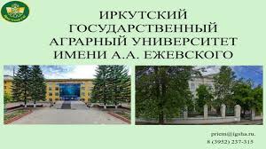 images (1).jpg