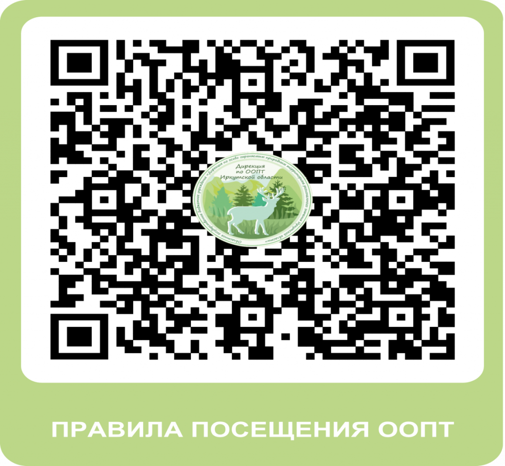 qr код1.png qr код1.png