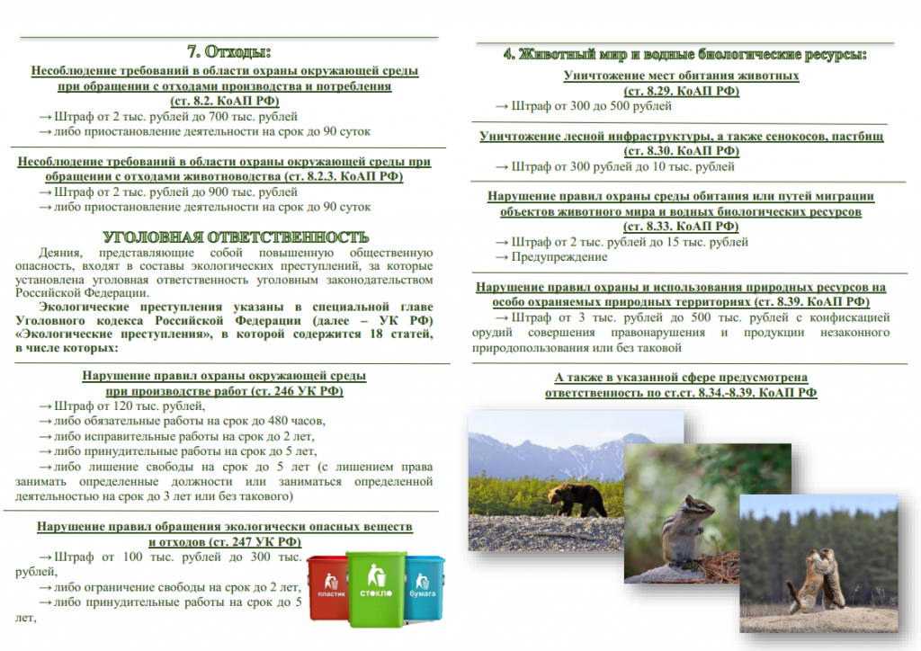 3. буклет (ответст-ть за нарушения об охране окруж.среды)png_Page5.png