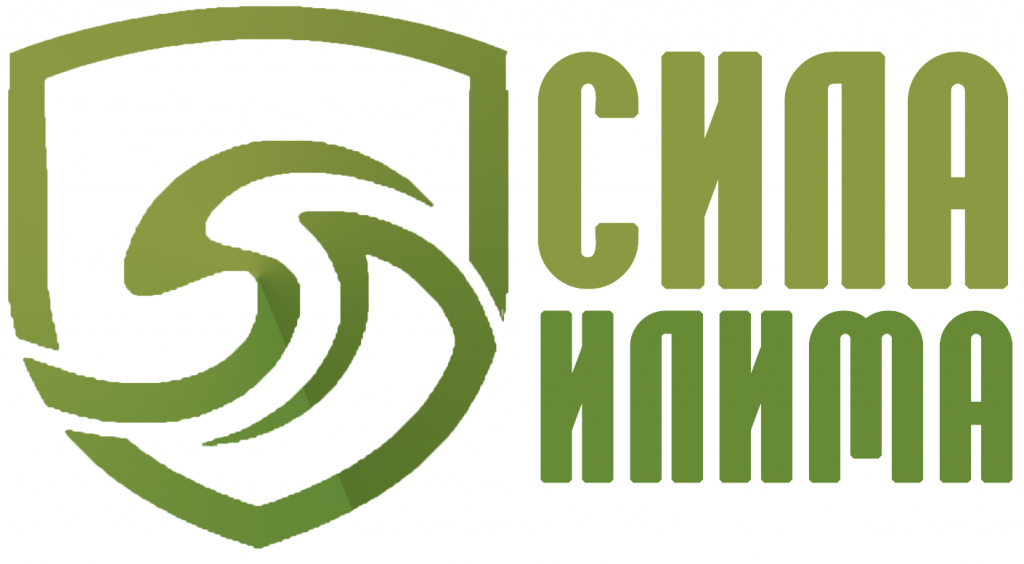 СИ.png