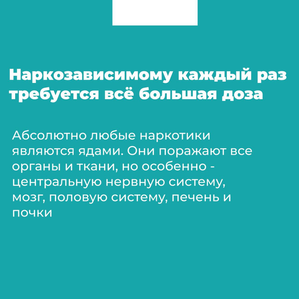 5316859553708185031.jpg