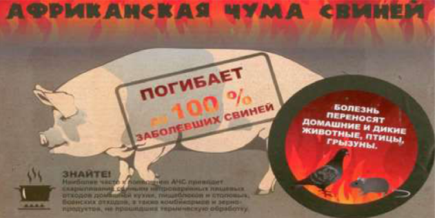 2026-06-01_10-44-33.png