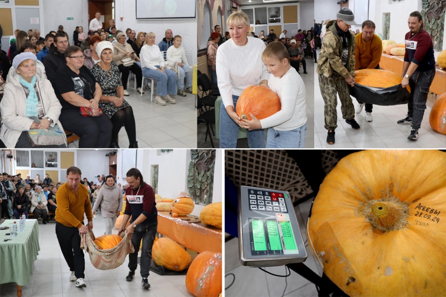 тык-3.jpg