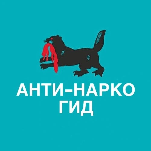 Чат-бот.jpg Чат-бот.jpg