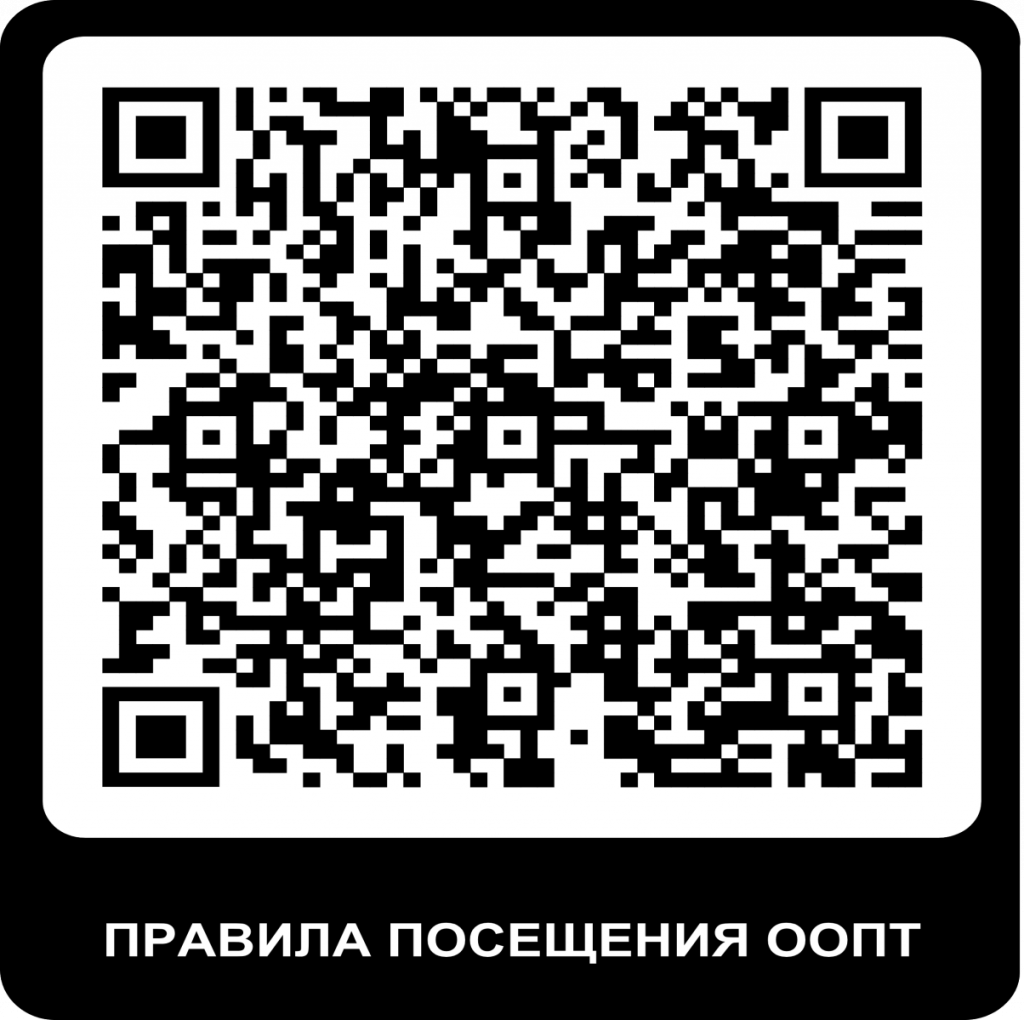 qr код2.png qr код2.png