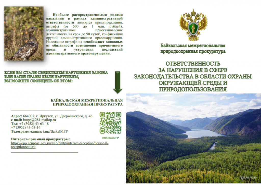 3. буклет (ответст-ть за нарушения об охране окруж.среды)png_Page1.png