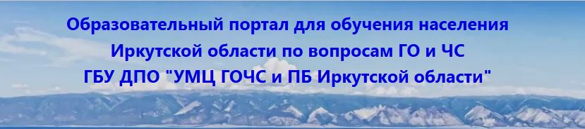 Образовательный портал.JPG