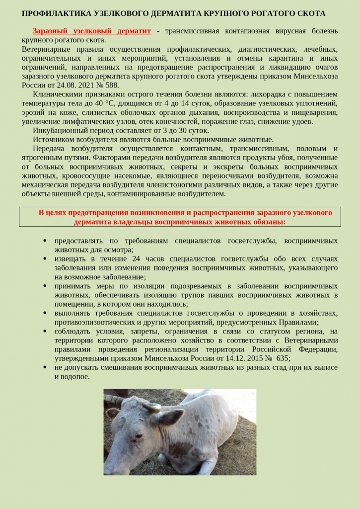 Узелковый дерматит ПАМЯТКА (5)_page-0001.jpg